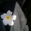 had__jer16