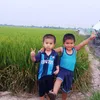 quy.trong.le