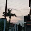 cyyy_442