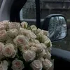dp_ngocanh