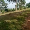 user3900615756254