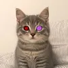neilsoojuu