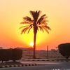 asif_7174
