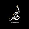 ahmedaboelyazeid2011