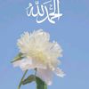 user6845462128494