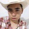 fernando_mr_1602q2