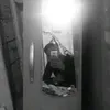 ariszxcrvg77