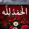 user4466997567633