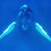 voice of the ocean