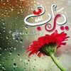 user8359298717950