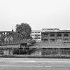dfwe50