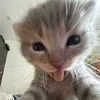 melodyyyy_717