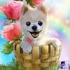 ana_banana4455