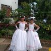 luz23262