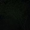 user7632204286185