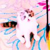 pets.ttqw