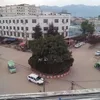 zhangshun73
