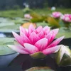 lotus_277