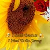 nguyen_quan_0123
