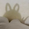 urlittleduckling1
