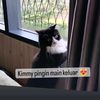 bubu_embo