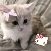 meowxinkuwu