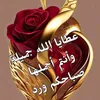 user4346954103813