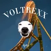 voltrexxescoasters1
