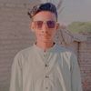majar521