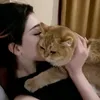 shahzenan32