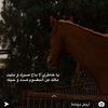 user4107847674193