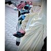 baloch_8081