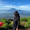 nidew05