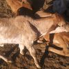 user1202916147615