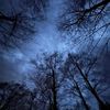 avatar_859