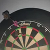 harryoconnor94