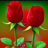 user8523199742444