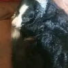 pat_12345x