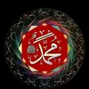 user7986155142040