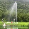 user7757441980495