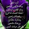 user446740452790