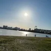 onceimlalk6