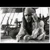 sparrow.h