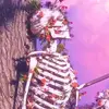 dib_mwmwk