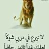 user2060624769150