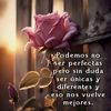 user5550357331071