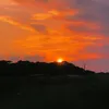 mexbra3
