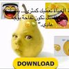 fartywarty4