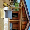 gayasasarima