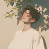 shiko_n1